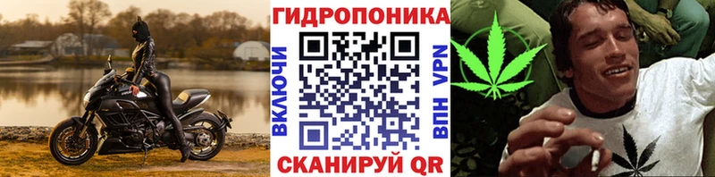Какие есть наркотики Краснообск APVP Мефедрон ГАШИШ Бошки Шишки