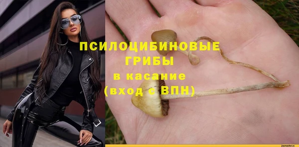 амфетамин Новодвинск