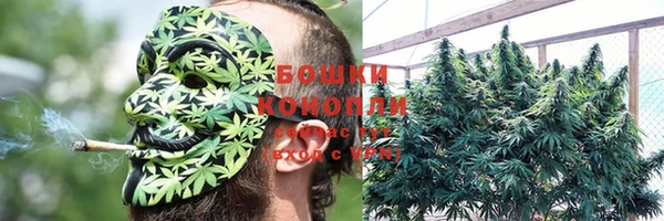 амфетамин Новодвинск