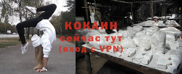эйфоретик Новокубанск