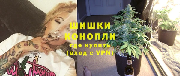 эйфоретик Новокубанск