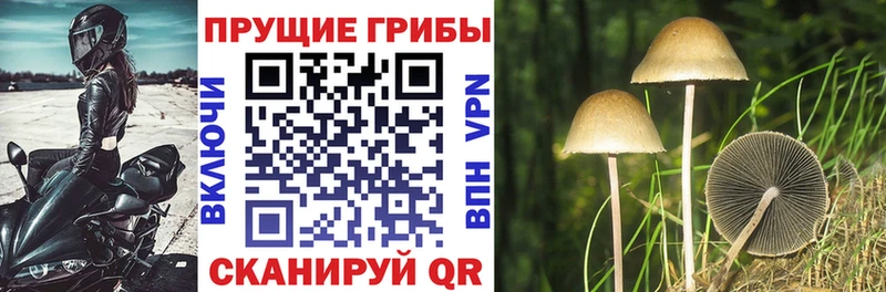Галлюциногенные грибы Magic Shrooms  купить  сайты  Краснообск 